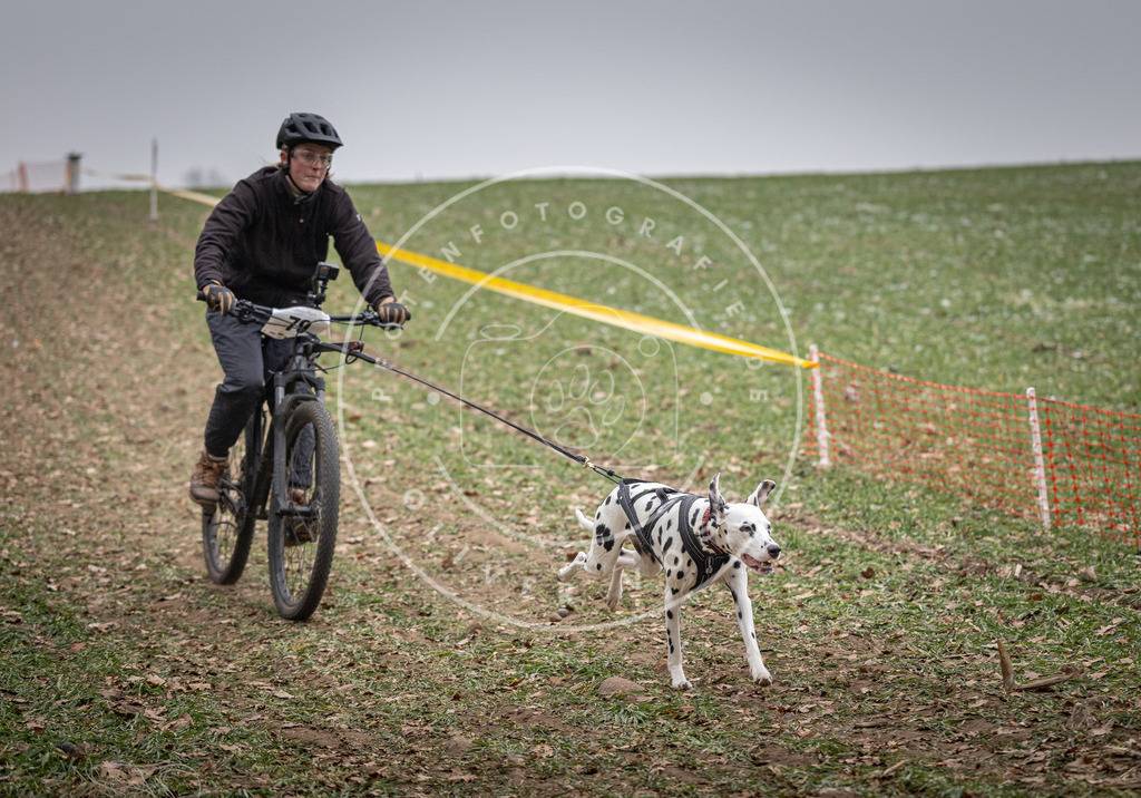 Pfotenfotografie_DV3A1764 | Hundefotografie, Tierfotograf, Pfotenfotografie, Fotoshooting Hund, Hunde Portrait, Hundesport, Hundeportraits, Heideshooting, Hunde, Sportfotograf, Hundefotograf, Turnierhundsport, THS,  - Realisiert mit Pictrs.com