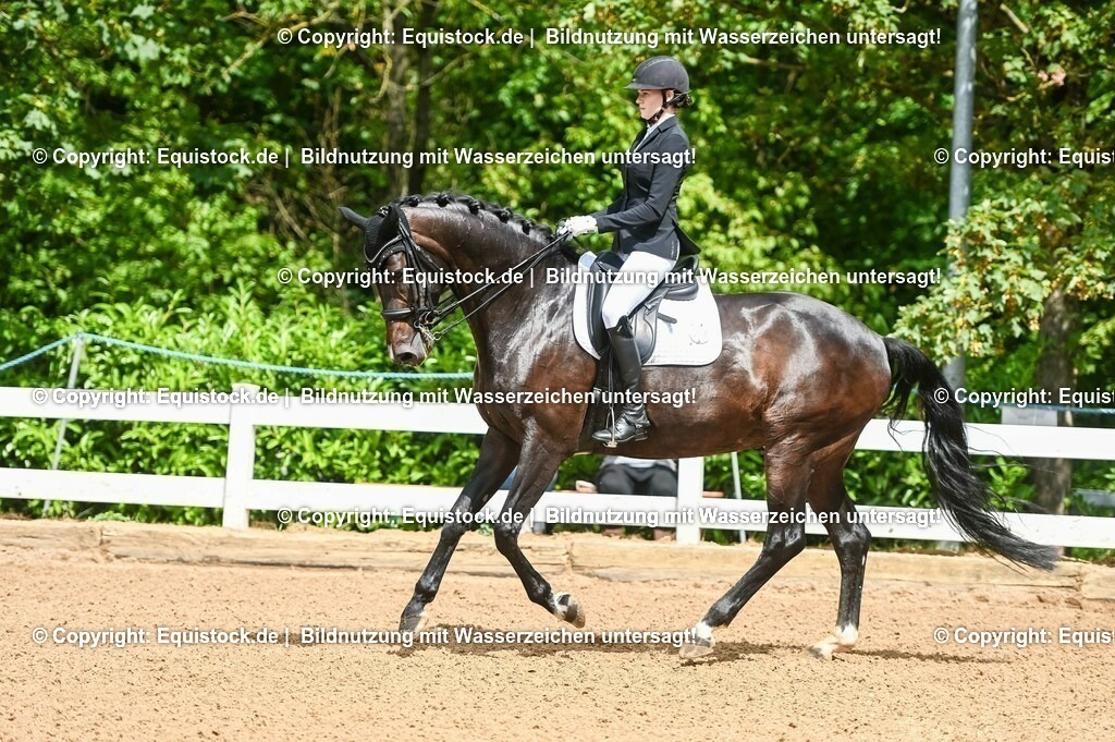 20230716_01_Dressurprüfung Kl.M_0062 | equistock