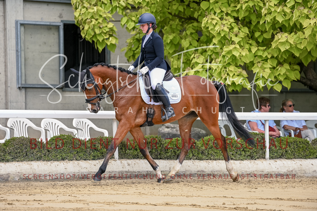 Schugtsche-Aluta25-48.Reitpferfdeprf.-136 | Schugtsche Fotografie - Realisiert mit Pictrs.com