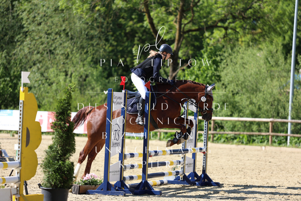 IMGS4926 | pl-fotografie