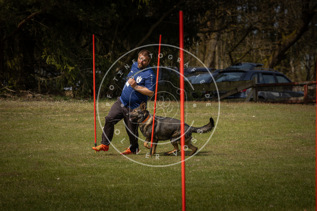 Pfotenfotografie_DV3A4739 | Hundefotografie, Tierfotograf, Pfotenfotografie, Fotoshooting Hund, Hunde Portrait, Hundesport, Hundeportraits, Heideshooting, Hunde, Sportfotograf, Hundefotograf, Turnierhundsport, THS,  - Realisiert mit Pictrs.com