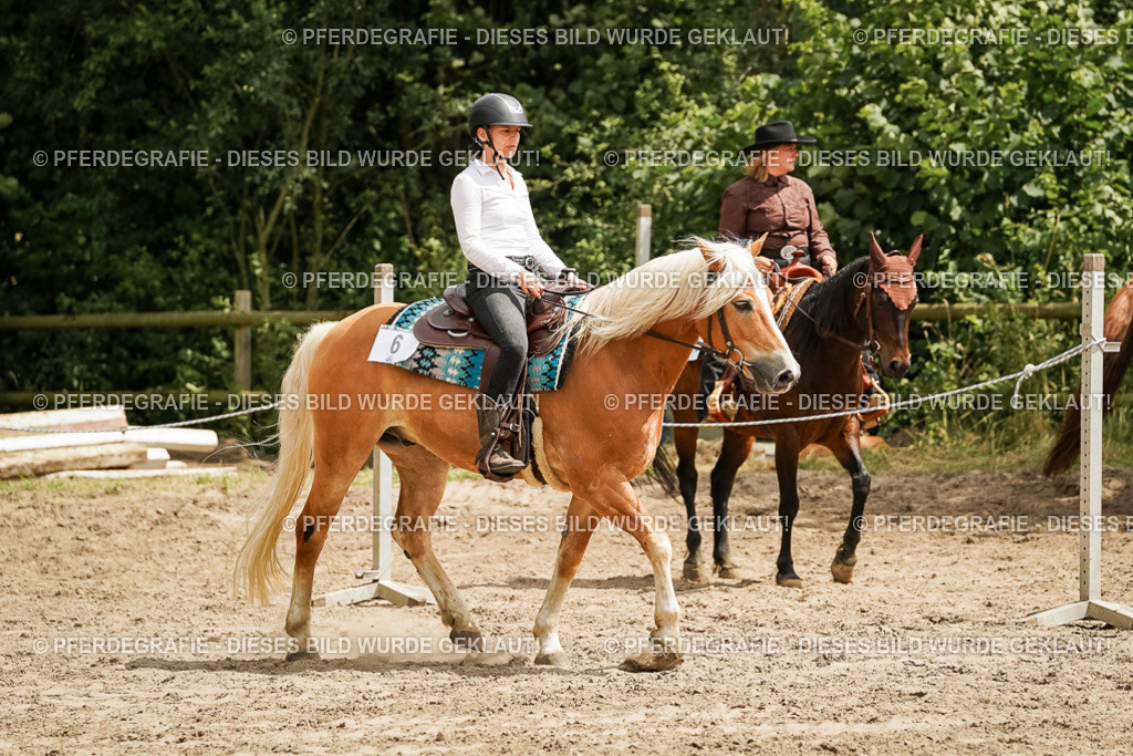 DSC00382 | Pferdegrafie