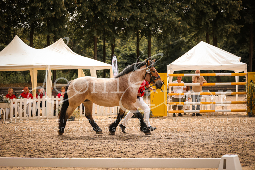 3.Sa00075 | Leoni Ertmer Photography - Realisiert mit Pictrs.com