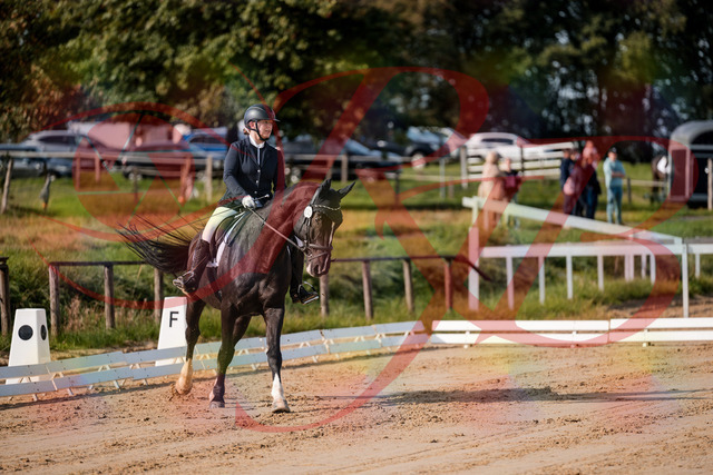 2026_10_03_Siefer-Hof_113516_Z63_20974353 | Professionelle Reitsport-, Turnier- und Eventfotografie von Robert Broda. Galerien mit ausgewählten und bearbeiteten Bildern direkt online ansehen und bestellen.
