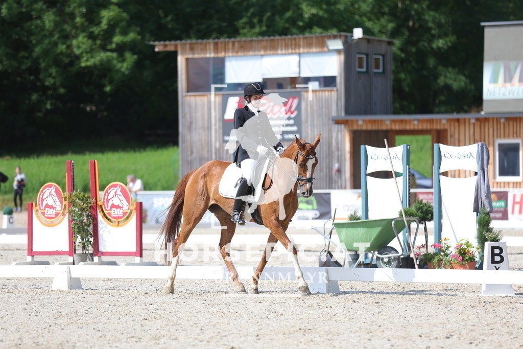 0P6A8983 | Willkommen bei Brunnmayr - Design & Fotografie – Ihrem Spezialisten für Reitturniere und Pferdeveranstaltungen in Oberösterreich, Salzburg und Bayern! Seit über 17 Jahren sind wir leidenschaftlich dabei.