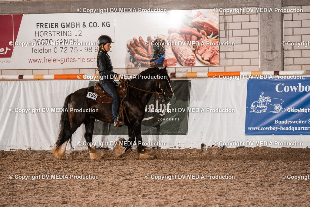 ZH200736 | dv-media-shop - Realisiert mit Pictrs.com