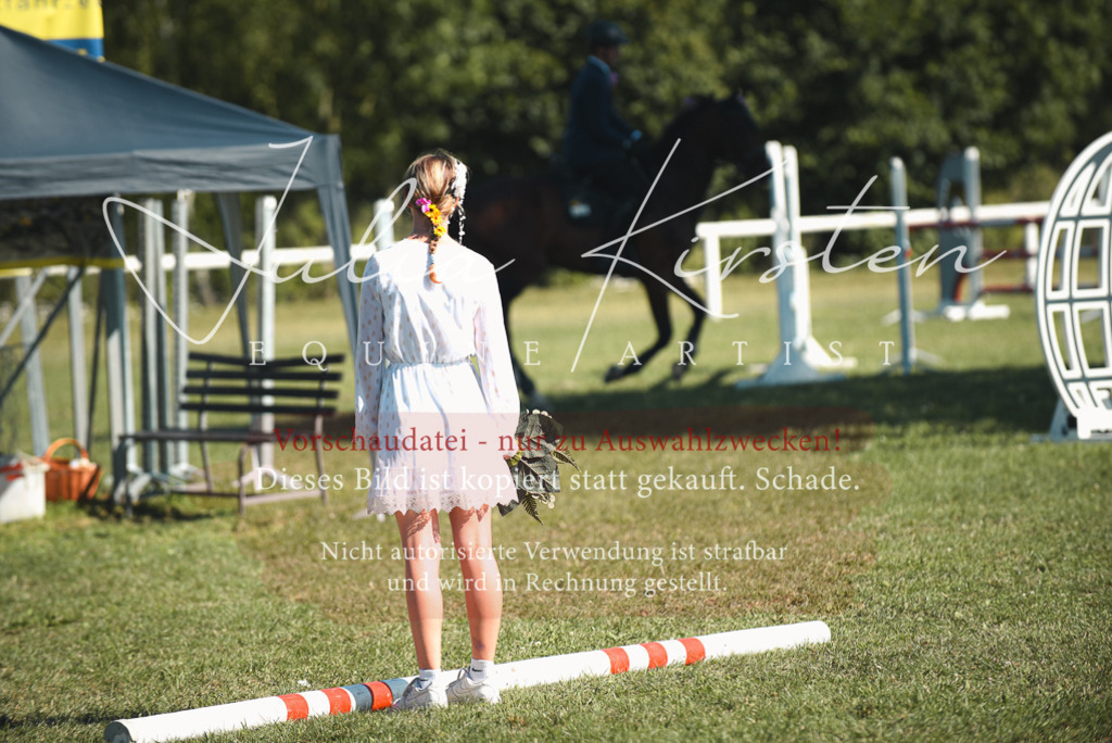 DSC_7696 | Pferde- und Turnierfotografie in Westsachsen. Pferdeportraits, Auftragszeichnungen und intuitive Kunst.