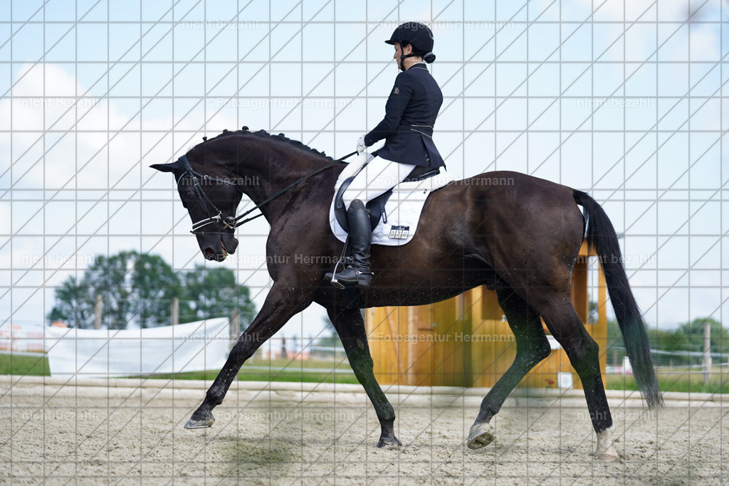 20230826-FAH05446 | Forstinning, 2023, Dressurturnier, Turniersportbilder, Turnierfotografen Bayern, Fotoagentur Herrmann, Reitsportfotografie, Turnierbilder