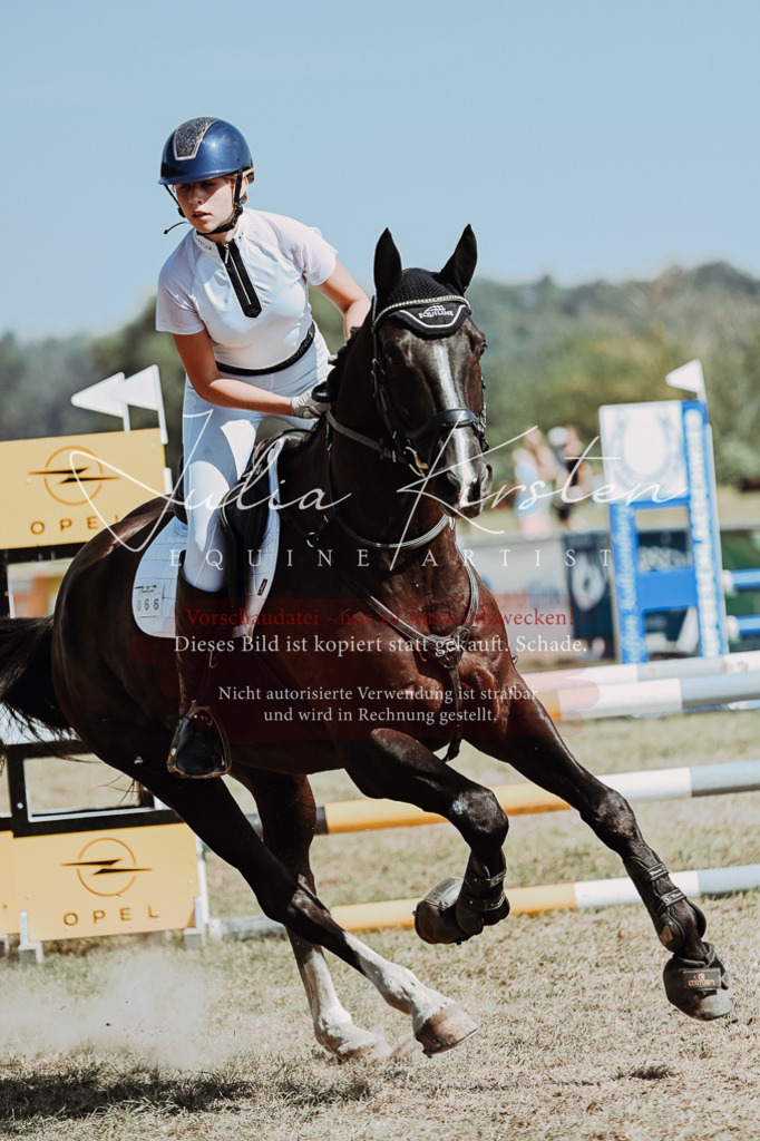 DSC_0049 | Pferde- und Turnierfotografie in Westsachsen. Pferdeportraits, Auftragszeichnungen und intuitive Kunst.