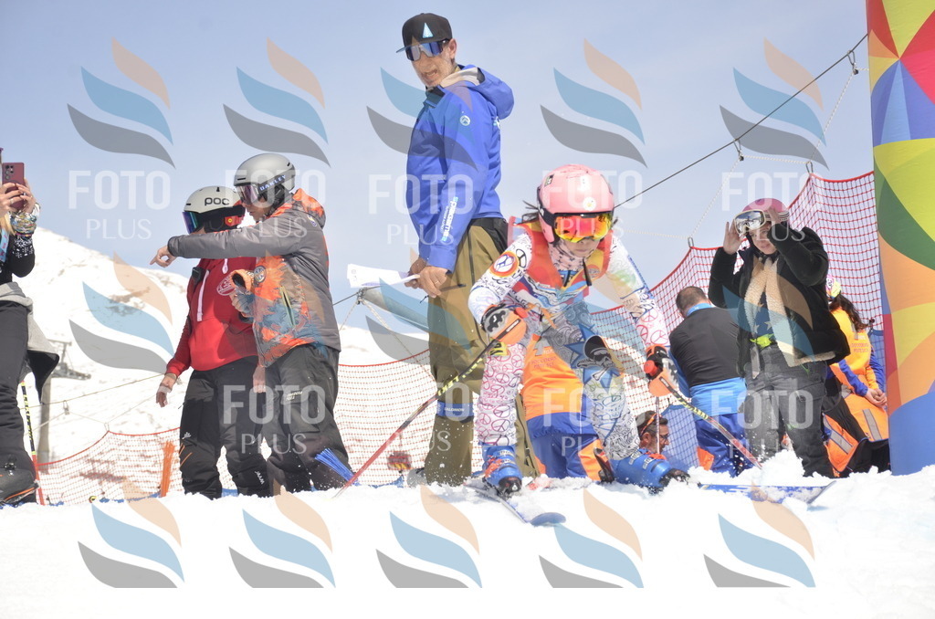 _ELE9227 | holidayphoto