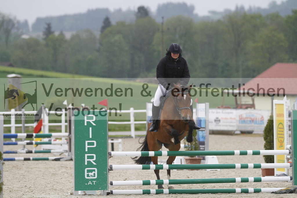 _MG_4007 | equestrian-live-com