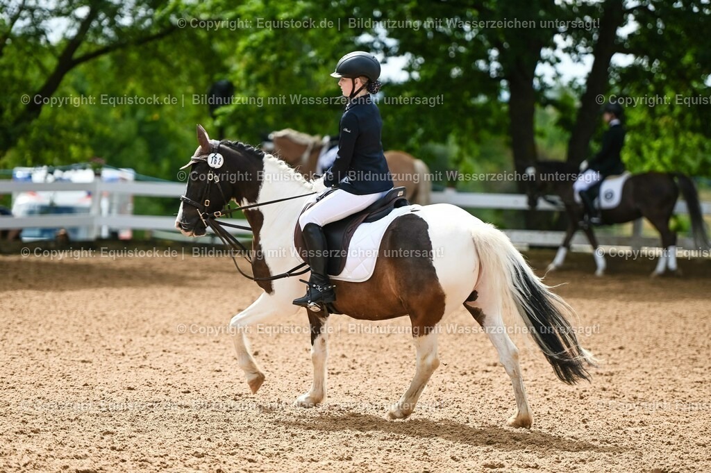 20230716_10-2_Reiter-WB Schritt - Trab - Galopp_0172 | equistock
