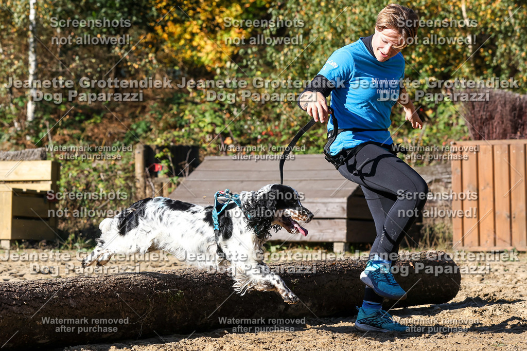 Dog Paparazzi - Strongdog 10-25-2229 | Dog Paparazzi Jeanette Grottendiek Fotografie & Videografie - Realisiert mit Pictrs.com