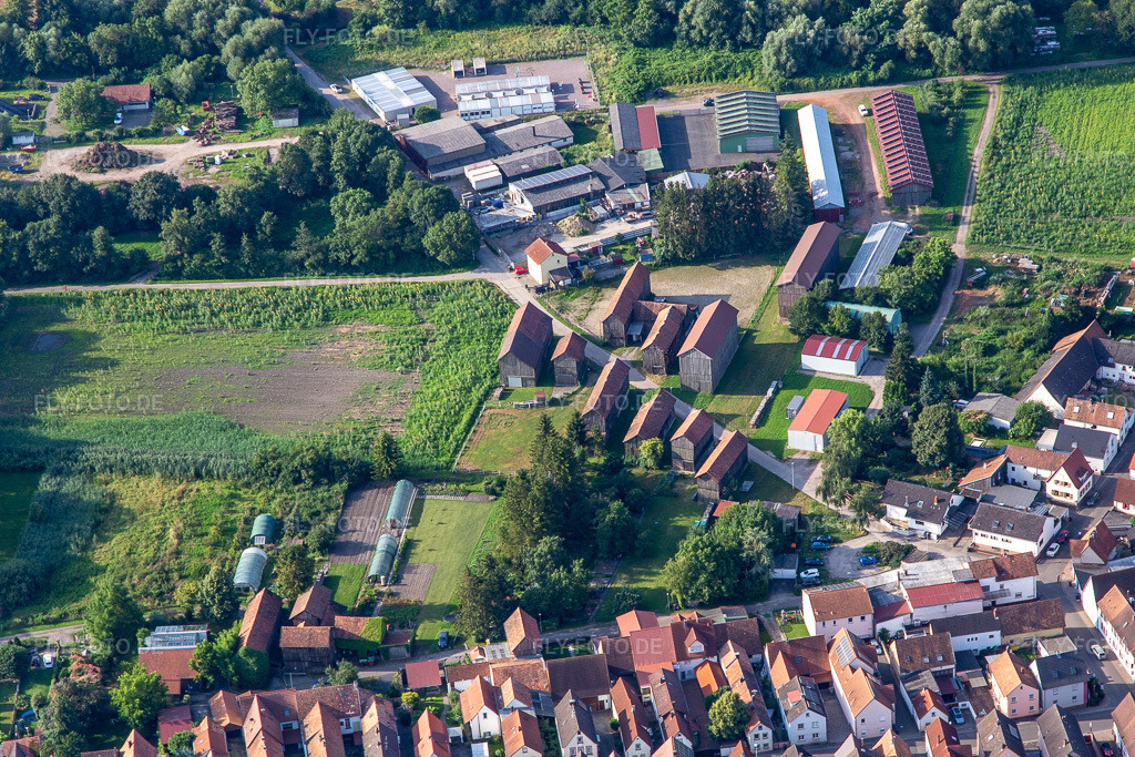 Luftbild: Tabakschöpfe an der Bruchstraße in Herxheim bei Landau im Bundesland Rheinland-Pfalz in Deutschland. Foto: IMG_142879.jpg vom 19.07.2024 durch Werner Riehm/FLY-FOTO.de