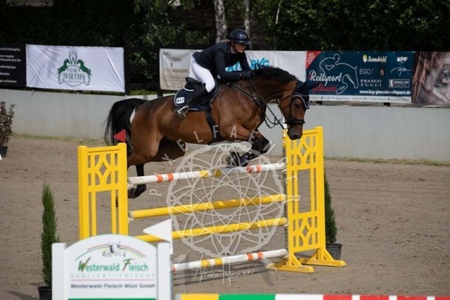 2B4A1232 | pixelfaenger - Realisiert mit Pictrs.com