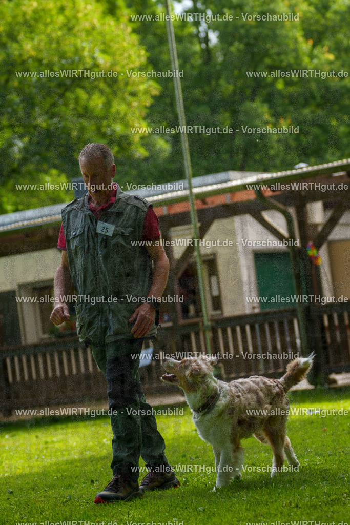 @allesWIRTHgut_Tierfotografie - www.allesWIRTHgut.de - 100149-7R507970 | Professionelle Tierfotografie in Mönchengladbach von Daniel Wirth (allesWIRTHgut). Liebevolle & natürliche Bilder von Hunden & Katzen für unvergessliche Erinnerungen.