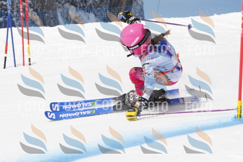 _W1G0941 | holidayphoto