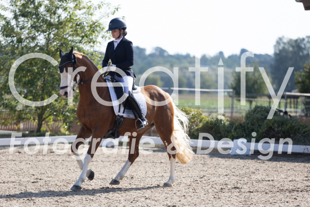 IMG_3013 | Creatify Fotografie