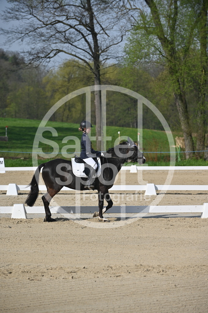 DSC_0265 | sattelsport - Realisiert mit Pictrs.com