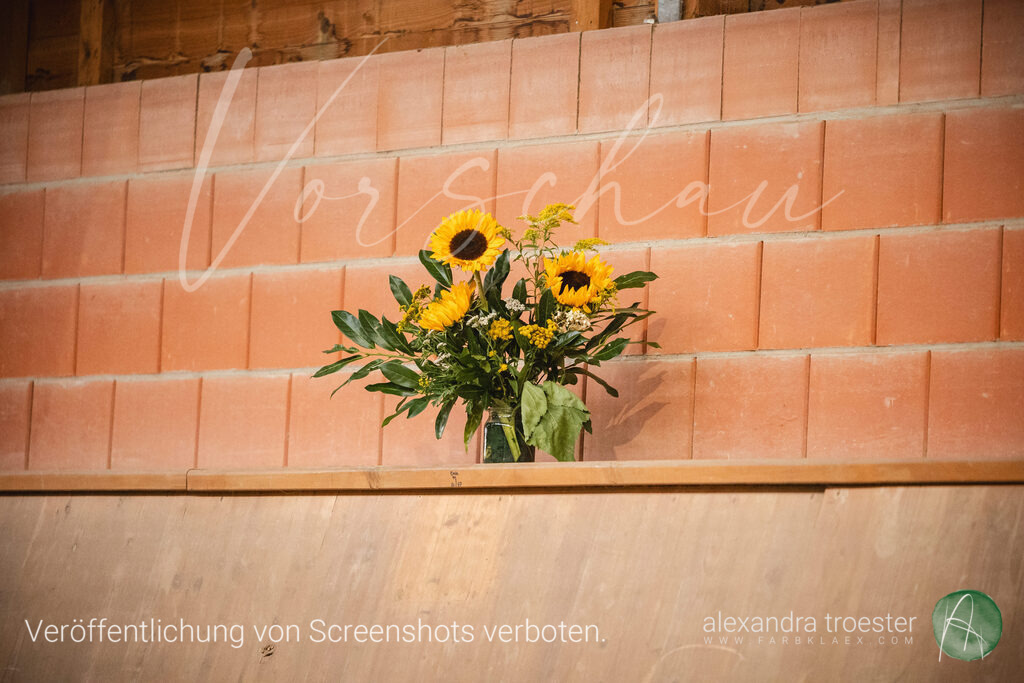 260912_Barop_35_159 | farbklaex.com