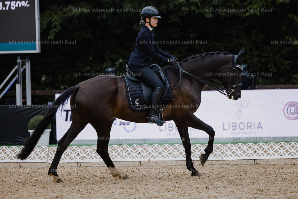 Leonie24_FHC2025-8 | working equitationturnier fotograf videograf stoibphotography marixx film working equitation deutschland reitsport turnierfotografie eventfotografie equestrian events
