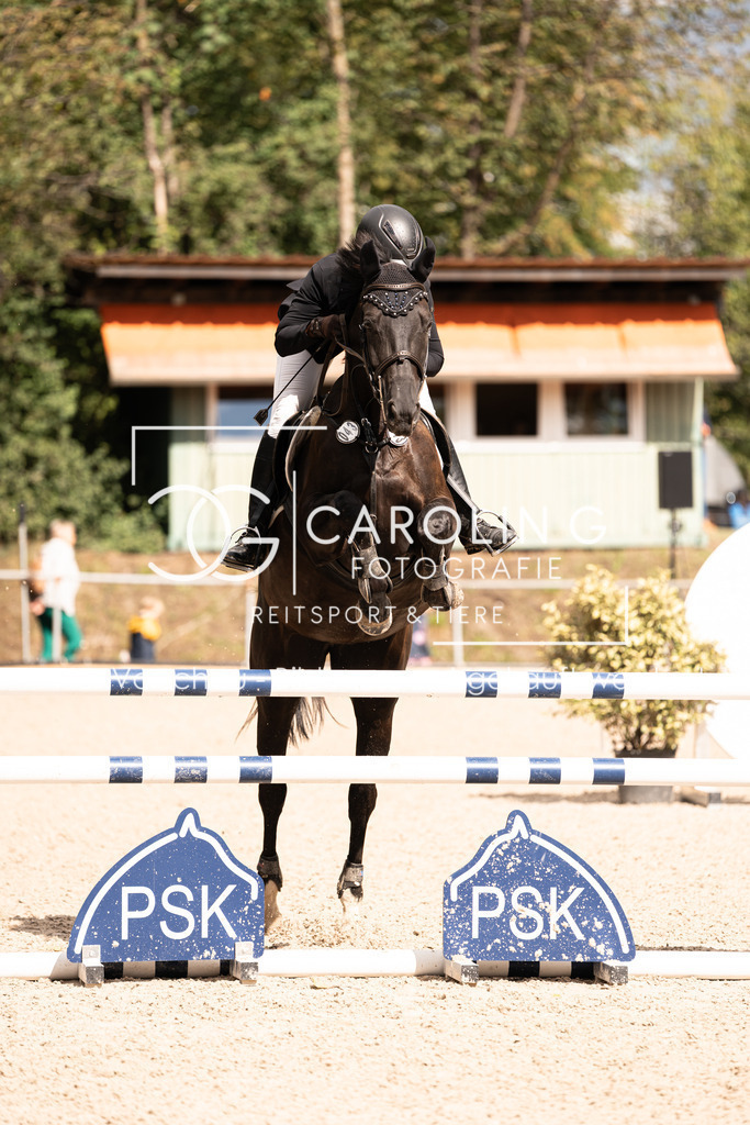 DSC04031 | Carolin Gieschke