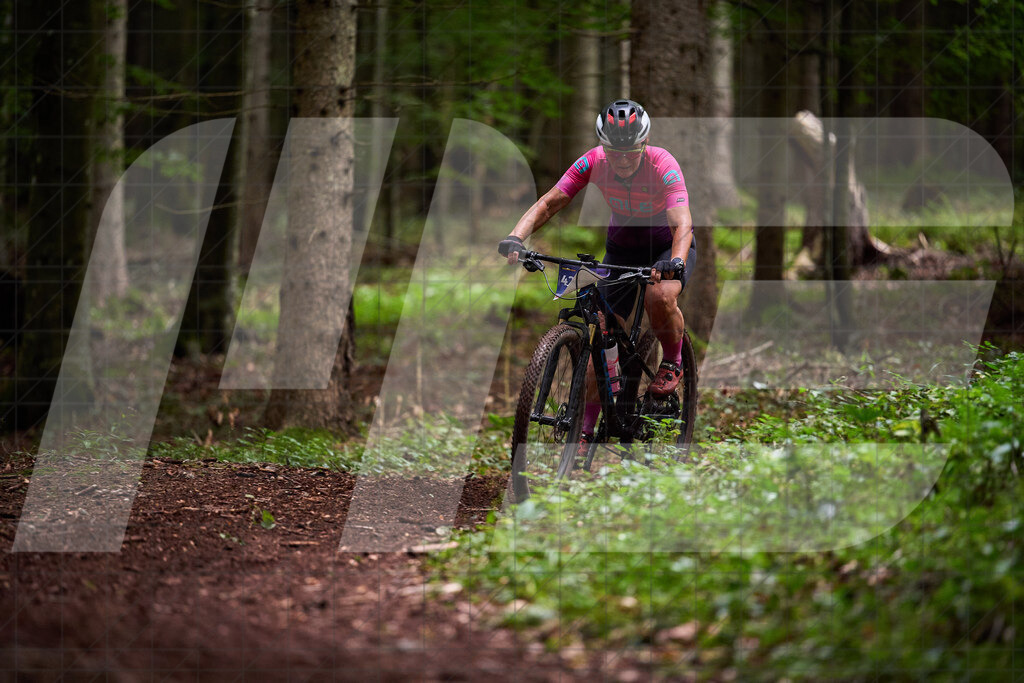 Betriebszentrum Laubenbachmühle, Frankenfels, Österreich - 13. September 2025: Dirndltal Race - Fun und Trophy RaceFotograf: Martin Bihounek / martinbihounek.com | 13. September 2025 Betriebszentrum Laubenbachmühle, Frankenfels, Österreich : Dirndltal Race - Fun und Trophy Race •••••Photo by: Martin Bihounek / martinbihounek.comInsta: @martinbihounekcom
