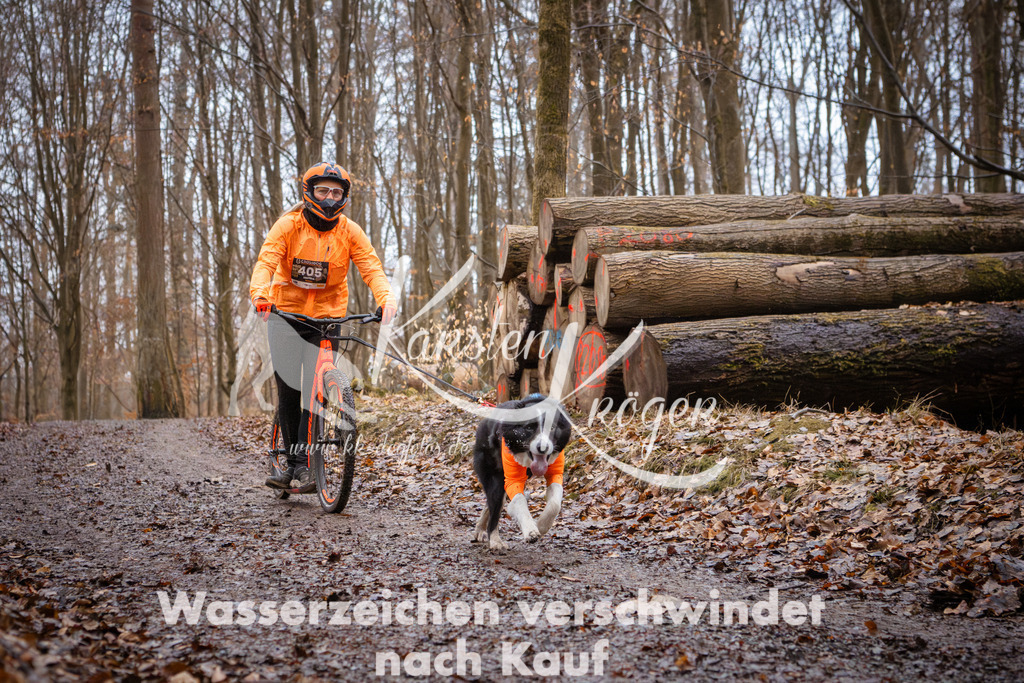 0848_ZZ94790 | kk-dogfotos
