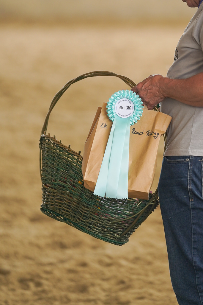 DSC06437 | Pferdegrafie