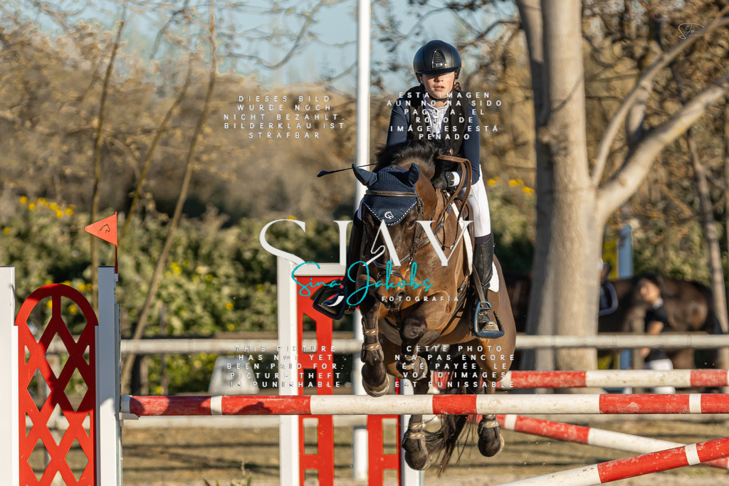 IMG_2458-3 | s-jay-photography - Realisiert mit Pictrs.com