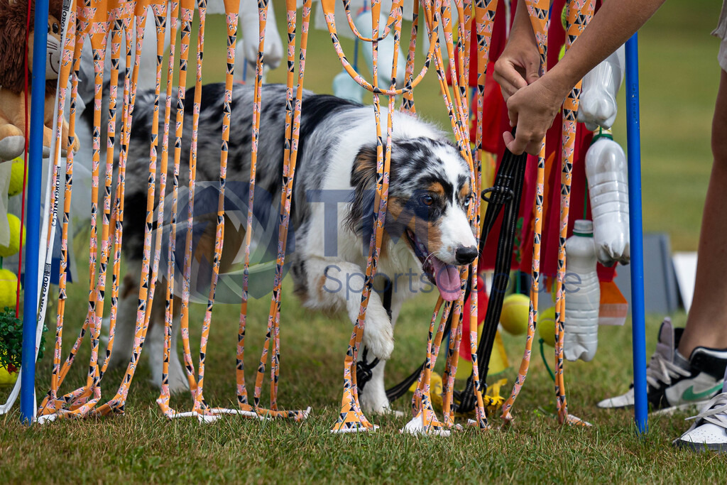 TP-20240815-0077 | Copyright: Trainproduction / Matthias Trinkl