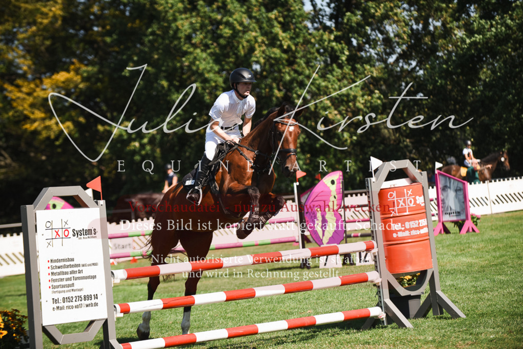 DSC_2760 | Pferde- und Turnierfotografie in Westsachsen. Pferdeportraits, Auftragszeichnungen und intuitive Kunst.