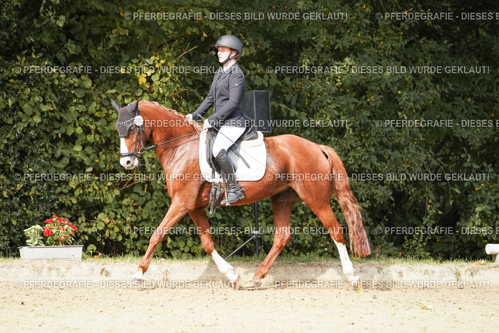 DSC03689 | Pferdegrafie