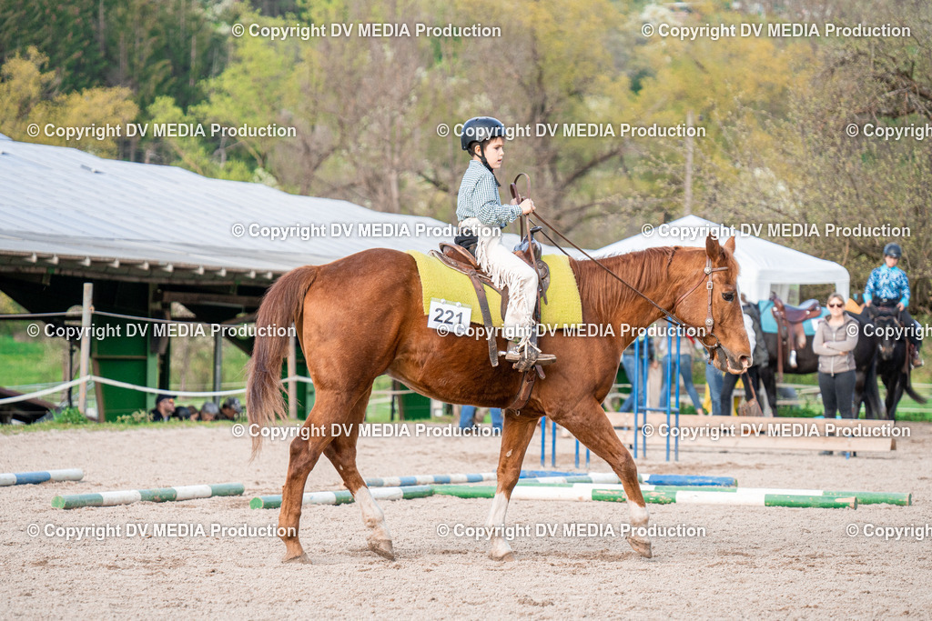 BAL02876 | dv-media-shop - Realisiert mit Pictrs.com