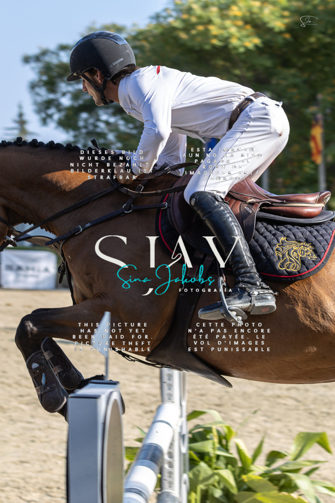 IMG_9259 | s-jay-photography - Realisiert mit Pictrs.com