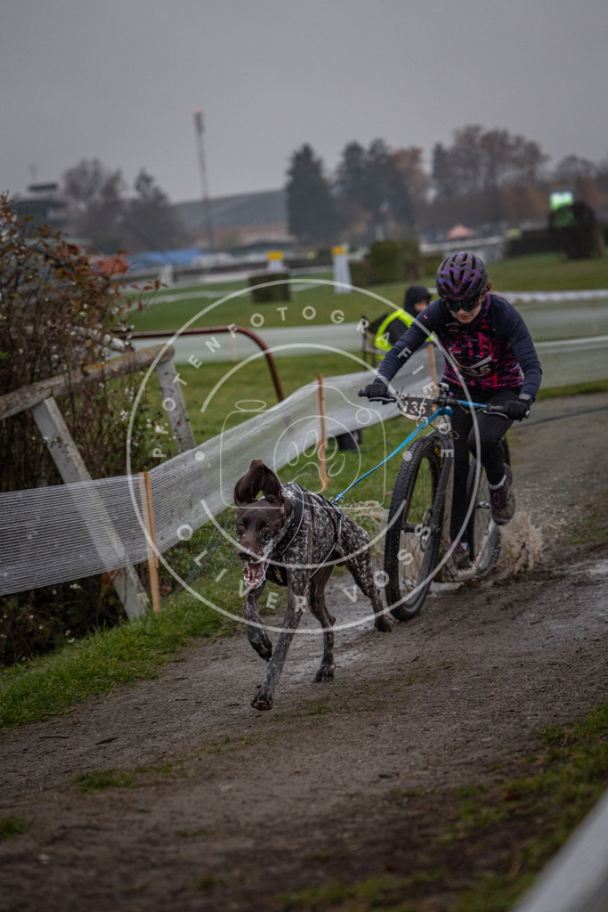 CaniXpix_0L8A0234 | Hundefotografie, Tierfotograf, Pfotenfotografie, Fotoshooting Hund, Hunde Portrait, Hundesport, Hundeportraits, Heideshooting, Hunde, Sportfotograf, Hundefotograf, Turnierhundsport, THS,  - Realisiert mit Pictrs.com