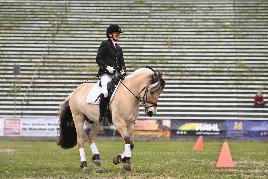 PI26_Show_Sara_Landvogt_226_0900.JPG | working equitationturnier fotograf videograf stoibphotography marixx film working equitation deutschland reitsport turnierfotografie eventfotografie equestrian events