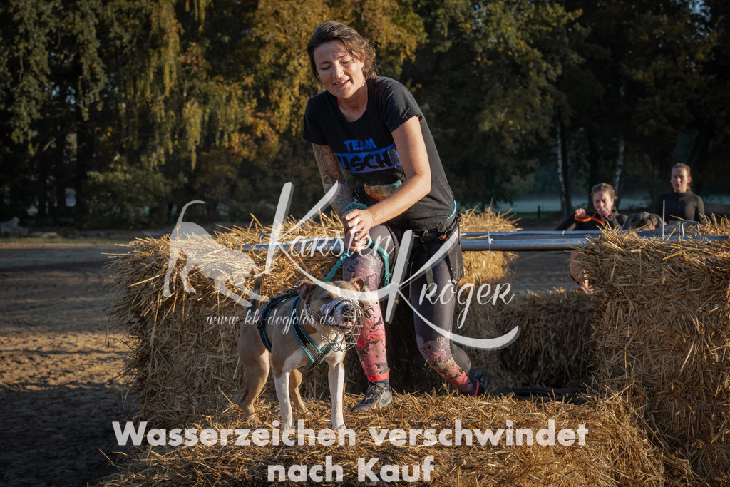 0923_ZZ92714 | kk-dogfotos
