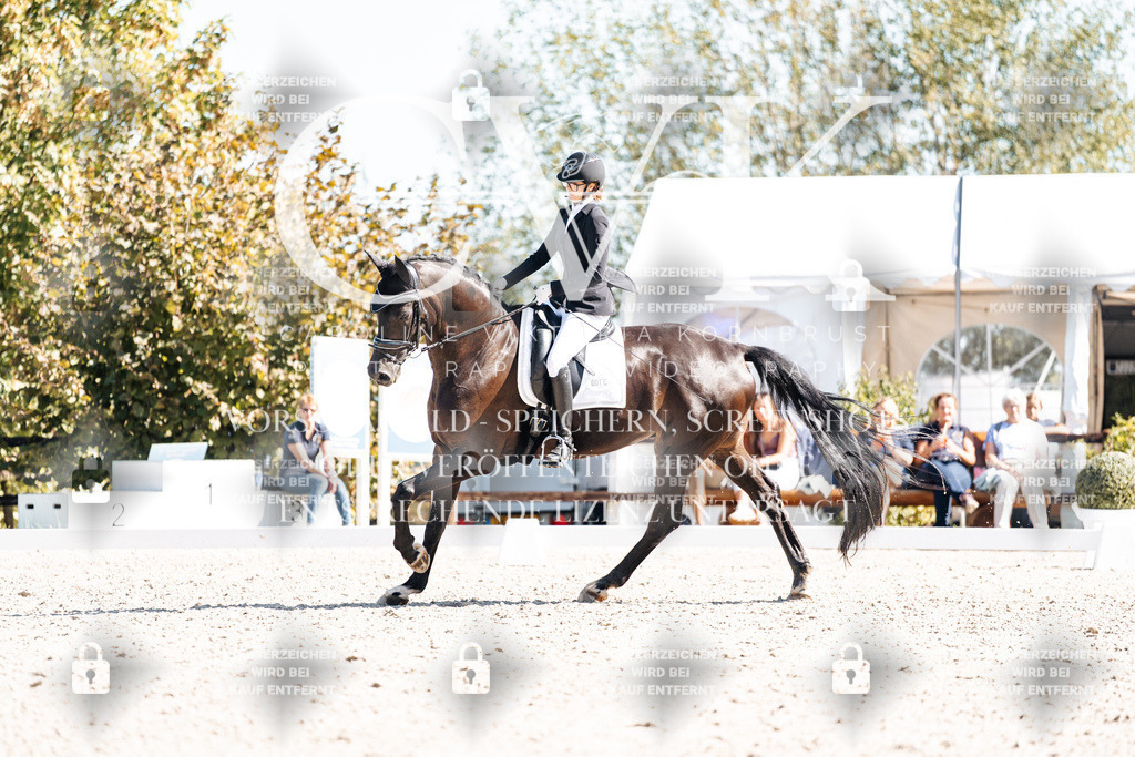 CK909421 | Turnierfotografie Pferdefotografie Trier Rheinland-Pfalz Pferdesport Reitsport Tierfotografie Sportfotografie Pferdevideo Pferdevideografie Equestrianvideography equestrianphotography  - Realisiert mit Pictrs.com