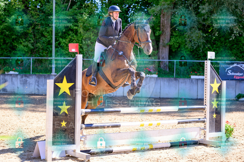 29082026-Giesenbach-Prfg10-0703 | Fokus Hufschlag Fotografie - Realisiert mit Pictrs.com