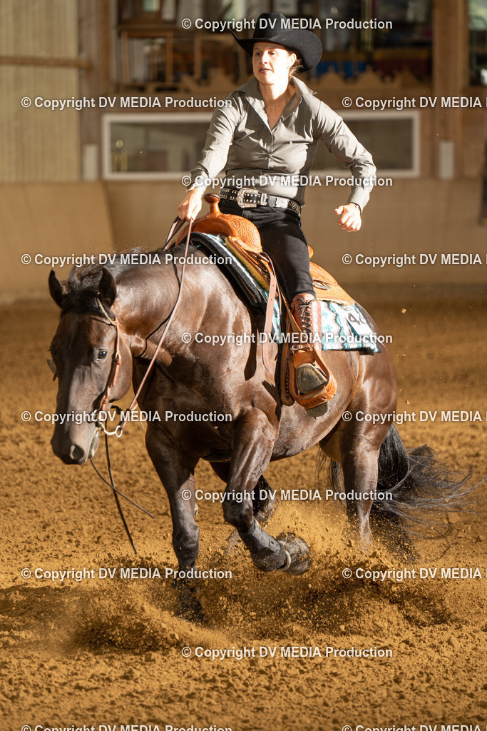 LAU00755 | dv-media-shop - Realisiert mit Pictrs.com