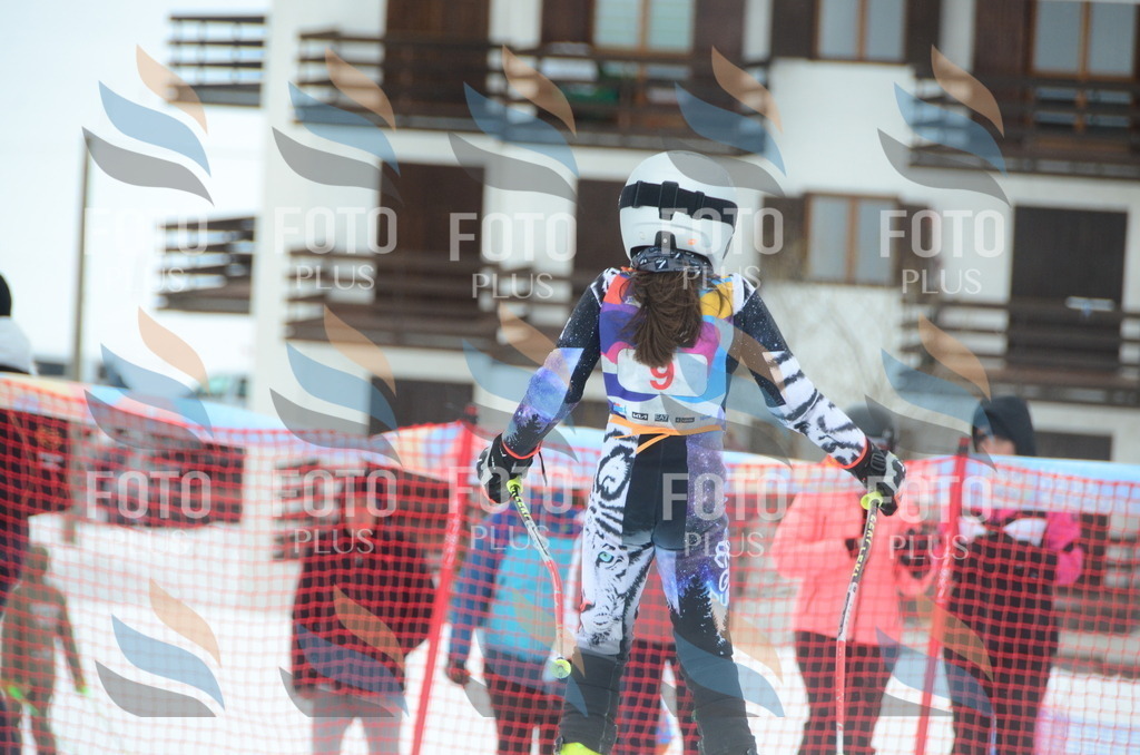 DSC_0700 | holidayphoto