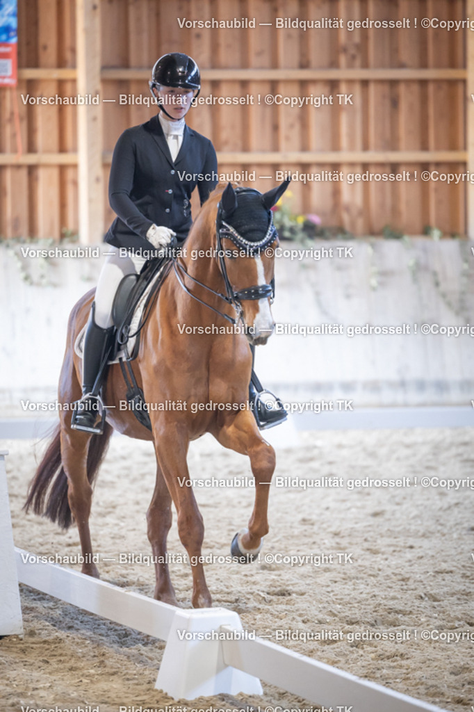 _D5A4914 | Emotionale Pferde- & People-Fotografie rund um Heidelberg, Leimen & Umgebung. Natürliche Fotos von Pferd, Mensch & Familie. Jetzt Termin sichern!