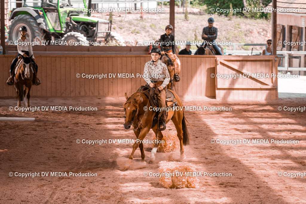 NE300378 | dv-media-shop - Realisiert mit Pictrs.com