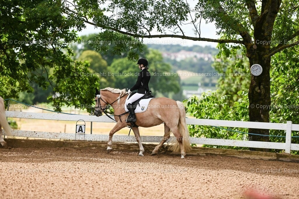 20230716_10-1_Reiter-WB Schritt - Trab - Galopp_0052 | equistock