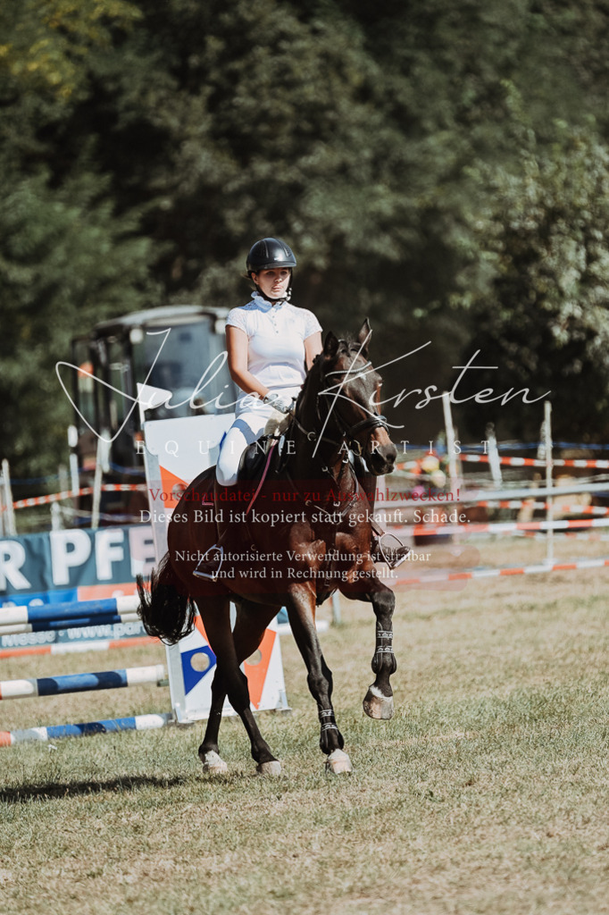 DSC_9543 | Pferde- und Turnierfotografie in Westsachsen. Pferdeportraits, Auftragszeichnungen und intuitive Kunst.
