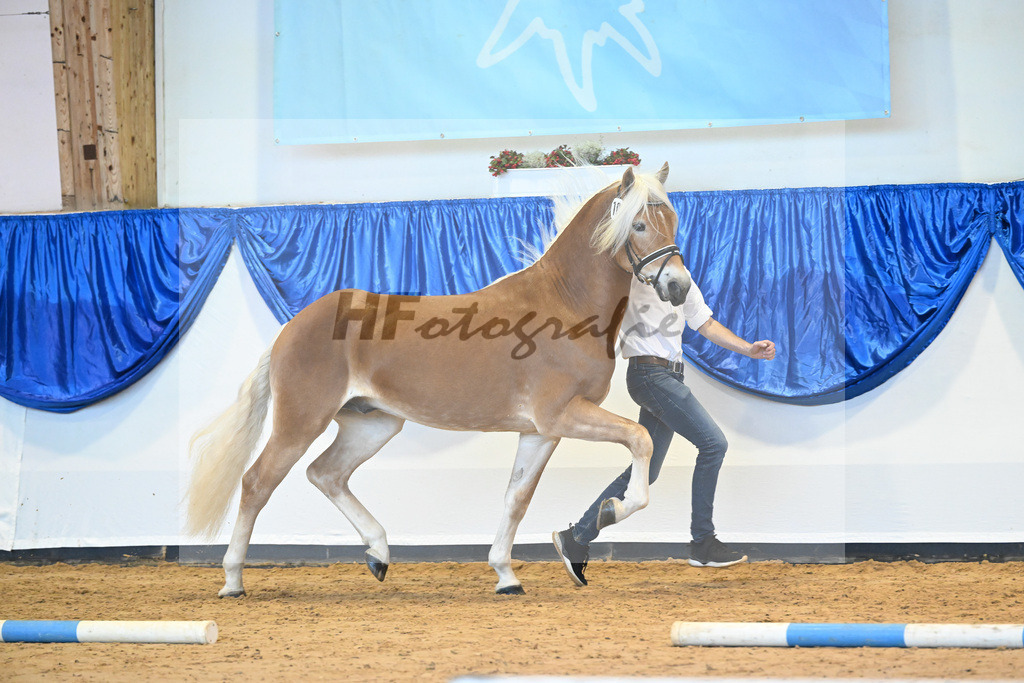 Kat-Nr. 10 nn v. Bugatti_Obermeyer_60220678 | hf-fotografie - Realisiert mit Pictrs.com