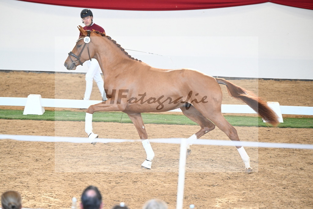 Kat.-Nr. 86 v. Vitalis_Bachinger_2250877 | hf-fotografie - Realisiert mit Pictrs.com