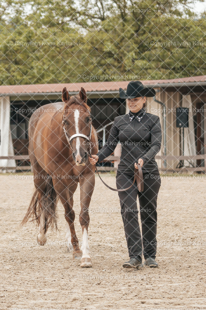 DSC08440 | ikphotography - Realisiert mit Pictrs.com