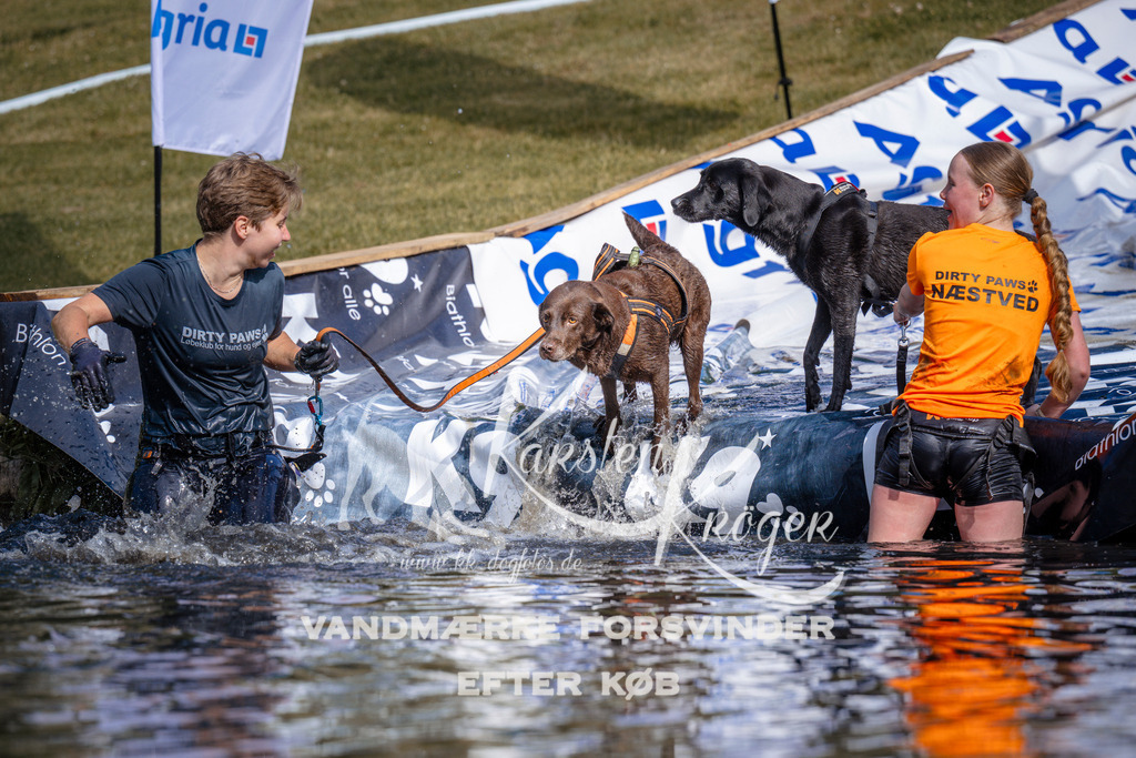 _ZZ988530811 | kk-dogfotos